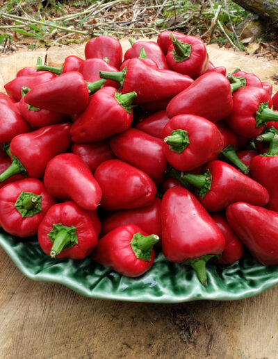 Peppers 'Calabrian caviar'