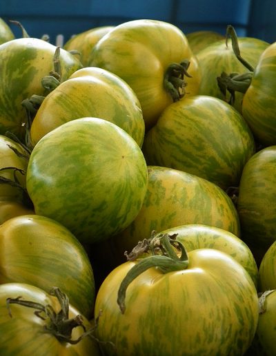 Tomate 'Green Zebra'