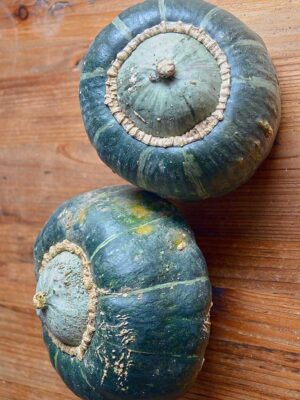 Courge d'hiver 'Burgess Buttercup'