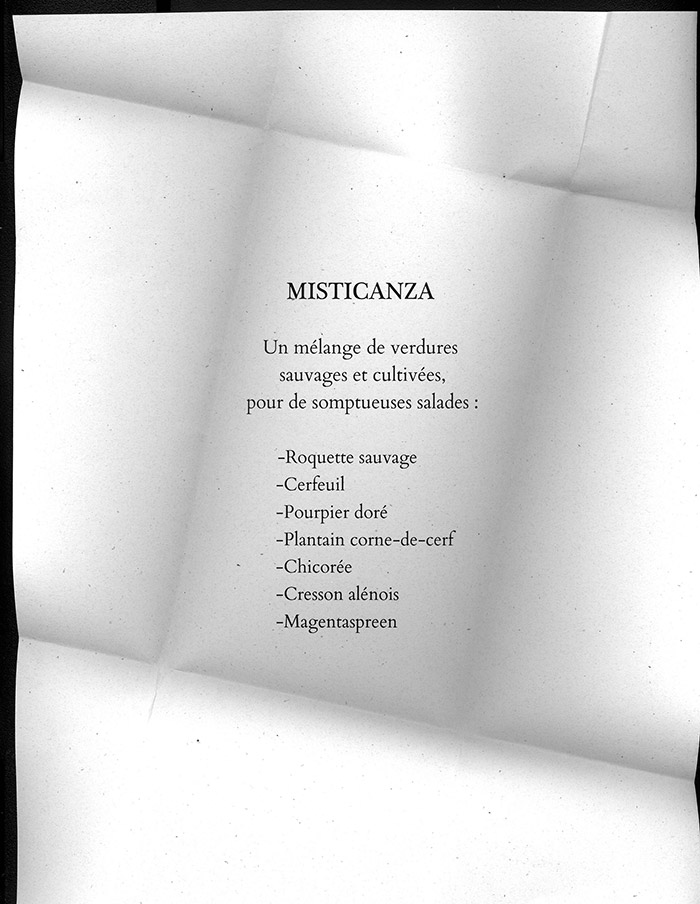 kit «Misticanza»