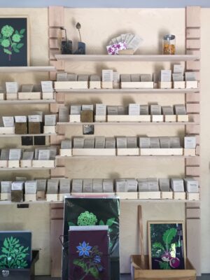 store