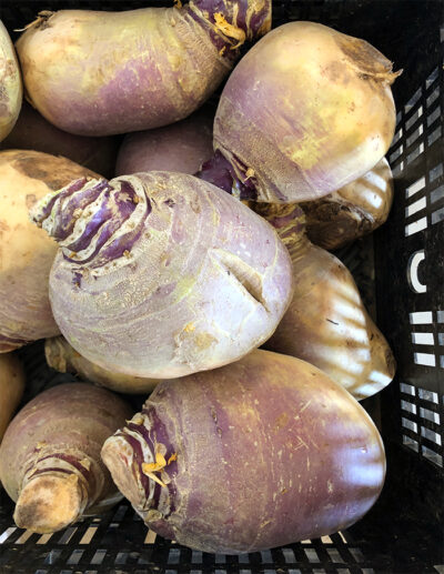 rutabaga Joan – Image 4