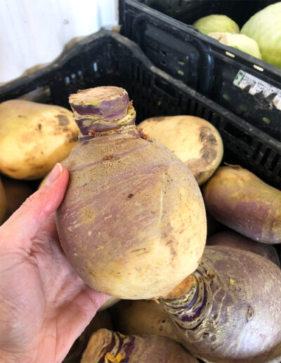 rutabaga Joan – Image 3
