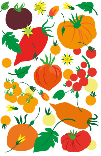Affiche - Tomates 11x17