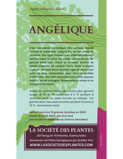 angélique bio – Image 5