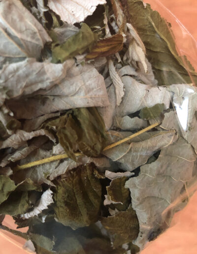 feuilles de framboisier séchées - Image 2
