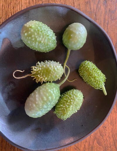 TERMINÉ pour 2025_7-atelier gourmand DU JARDIN À LA TABLE SEPTEMBRE – Image 7