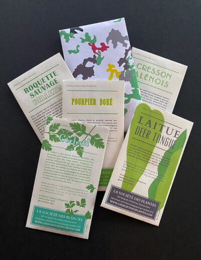 kit Salades de balcon
