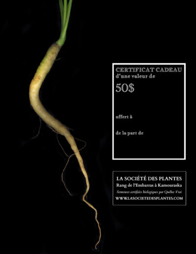 Gift certificate / 50,00$
