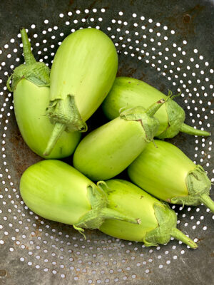 aubergine Shiromaru bio