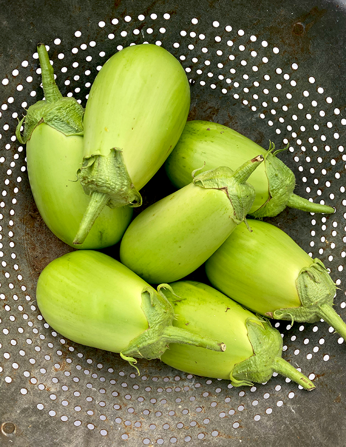 aubergine Shiromaru bio