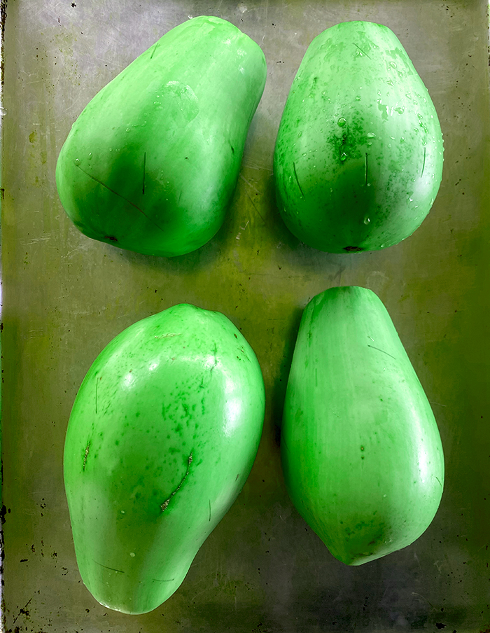 aubergine Shiromaru bio – Image 3