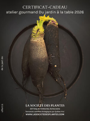 Certificat cadeau / atelier gourmand Du jardin à la table 2026