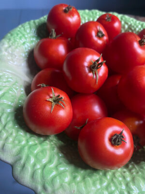 tomate Joyau d'Idaho bio