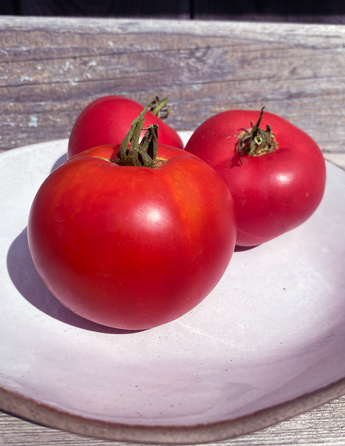 tomate Rose de Berne bio