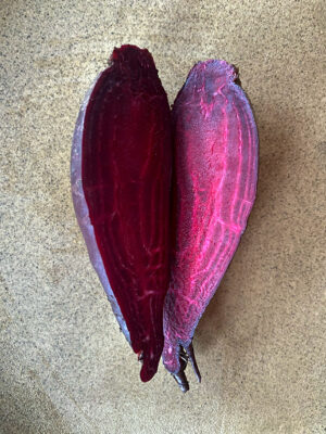 betterave Crapaudine bio