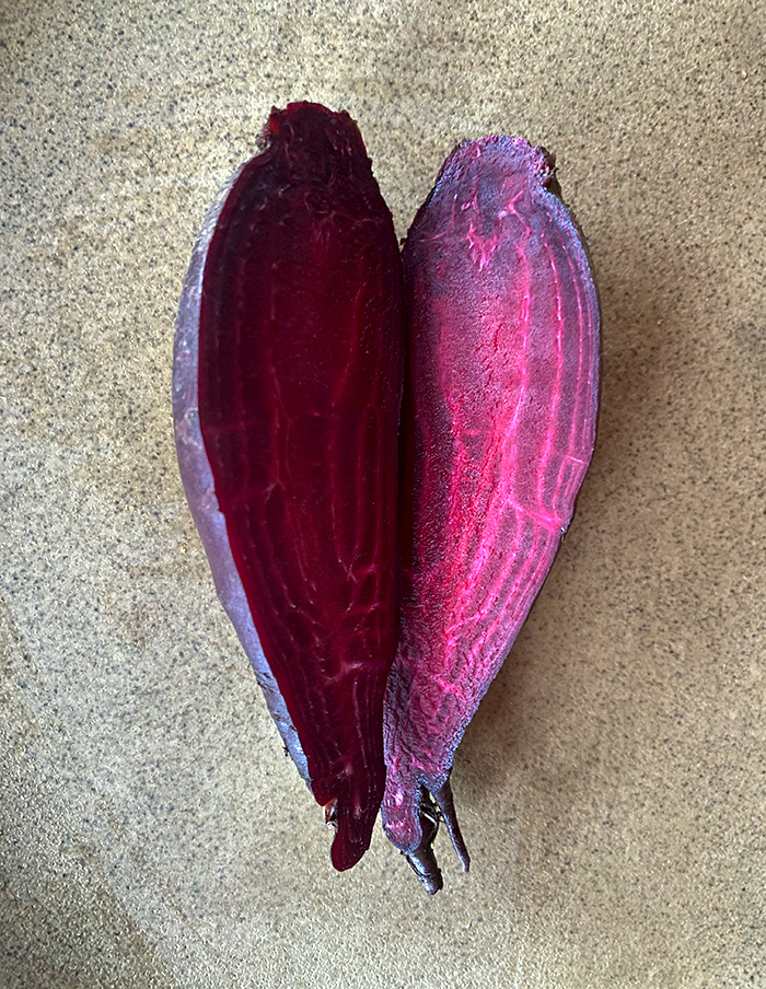Crapaudine beet - organic