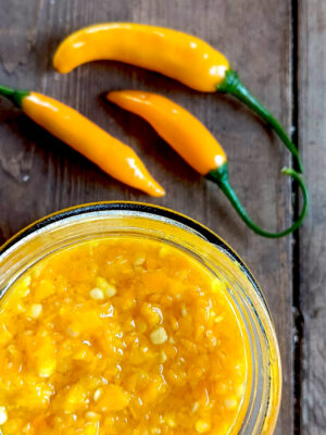 piment Criolla Sella